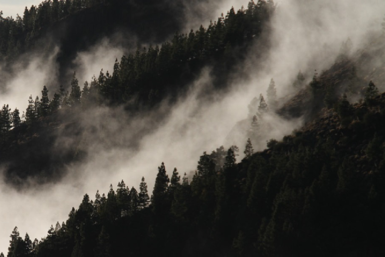 Clouds hover over a forested mountain. A factsheet for "Evaporation from Land" is displayed, with logos of WMO, ICSU, IOC, and UN Environment.